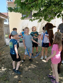 Navsteva_lamicek_00013