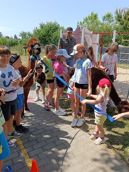 Navsteva_lamicek_00015